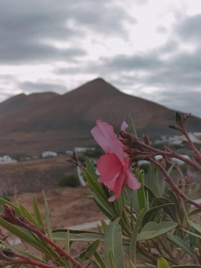 La Morreta Suites II - Lanzarote 蒂亚斯 外观 照片